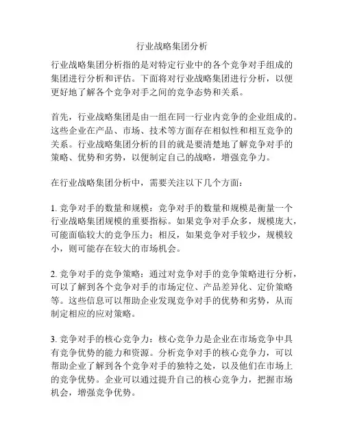 行业战略集团分析