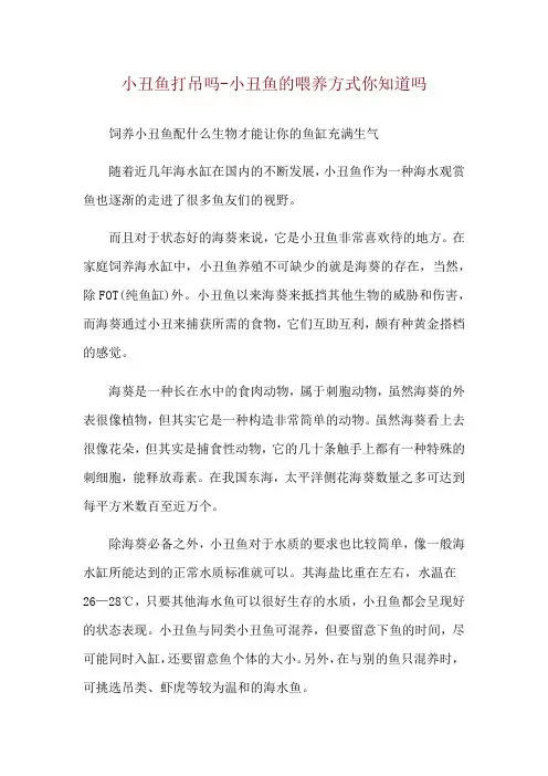 小丑鱼打吊吗-小丑鱼的喂养方式你知道吗