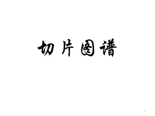 病理切片图PPT参考幻灯片