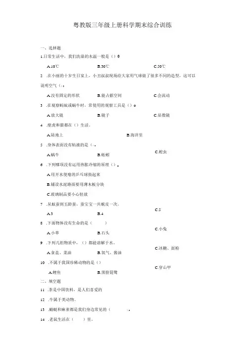 粤教版三年级上册科学期末综合训练(含答案)