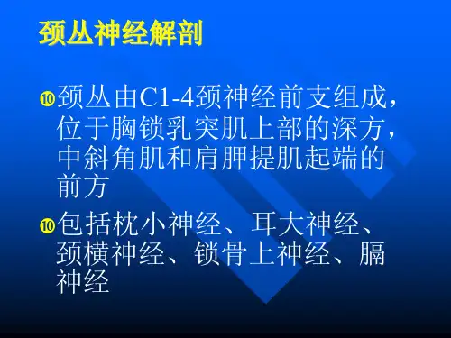 臂丛颈丛麻醉幻灯片
