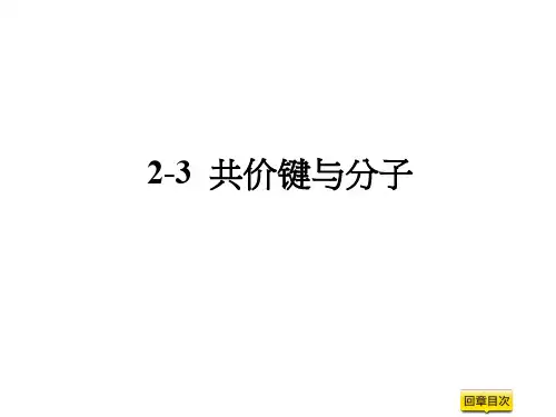 教学PPT：共价键与分子