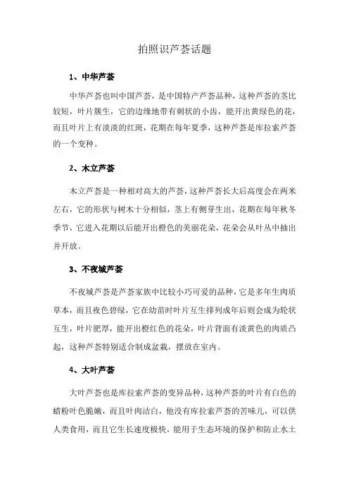 拍照识芦荟话题
