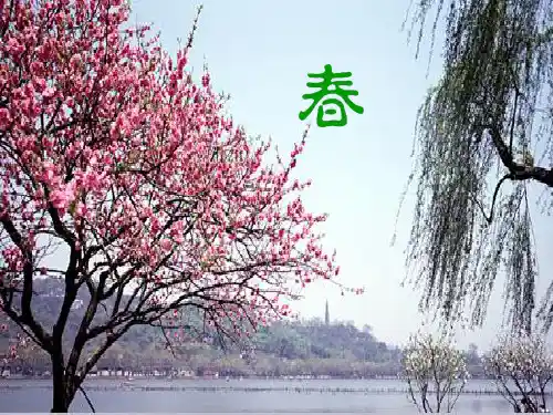 最新人教部编版七年级语文上册第一课《春》 (共36张PPT)