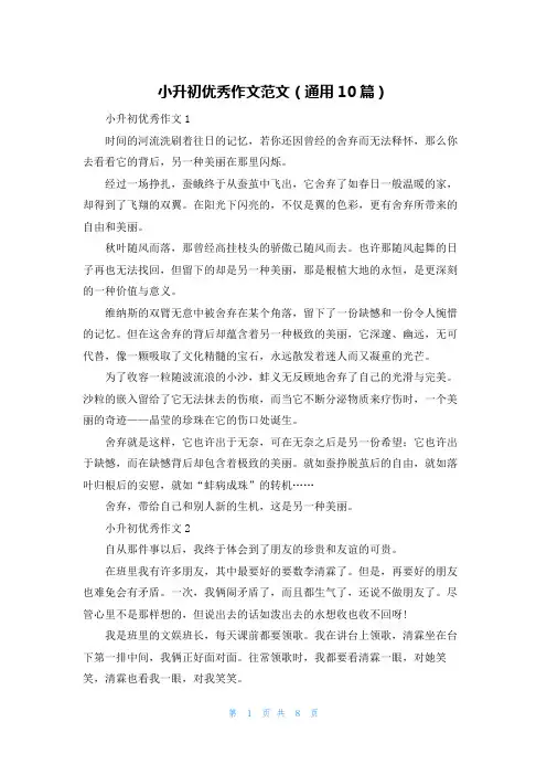 小升初优秀作文范文（通用10篇）