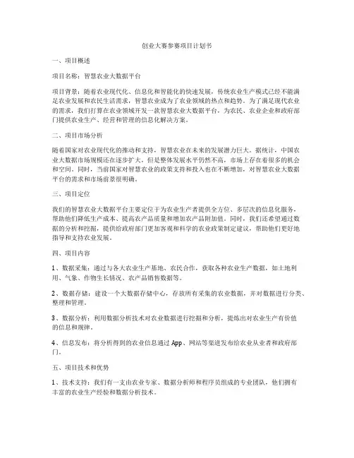 创业大赛参赛项目计划书