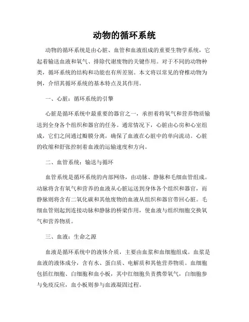 动物的循环系统