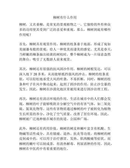柳树有什么作用