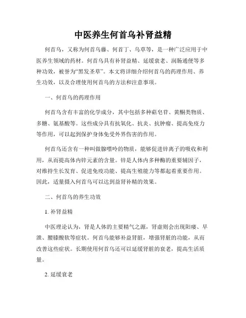 中医养生何首乌补肾益精