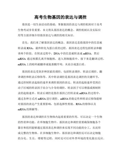高考生物基因的表达与调控