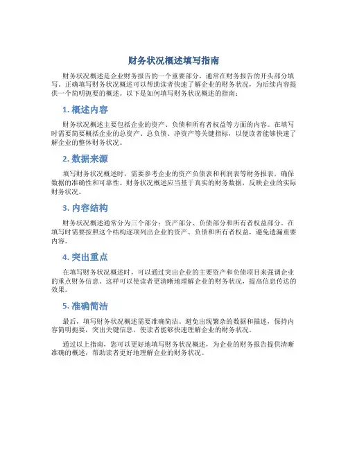 财务状况概述怎么填