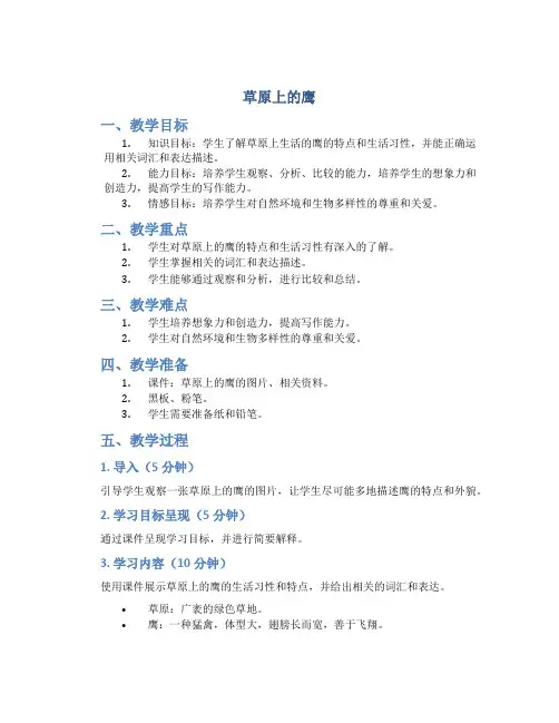 《草原上的鹰》语文教案
