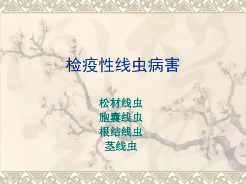 病理学基础-检疫线虫