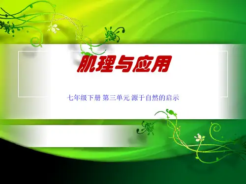 肌理与应用(说课教案)