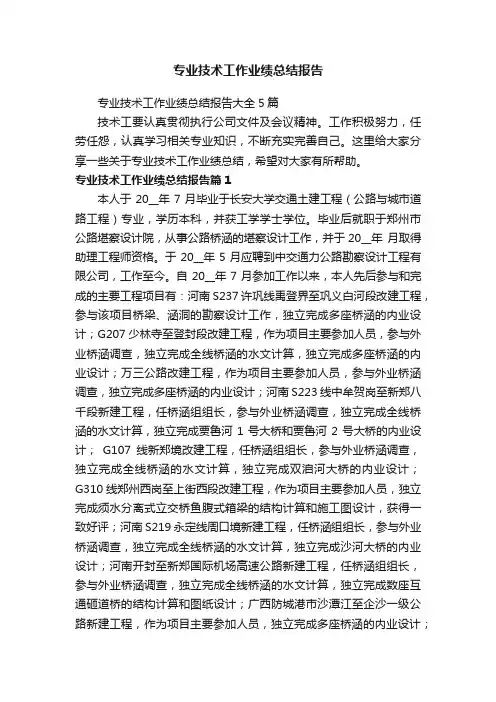 专业技术工作业绩总结报告