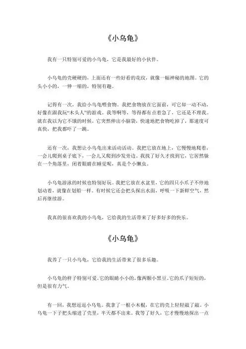 小乌龟写作文400字左右