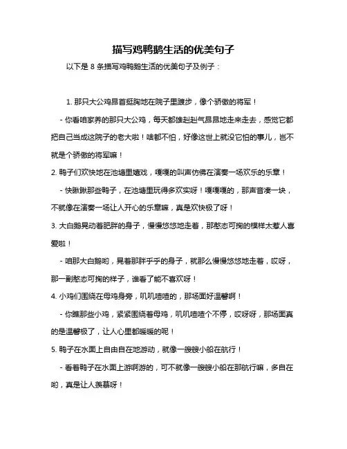 描写鸡鸭鹅生活的优美句子