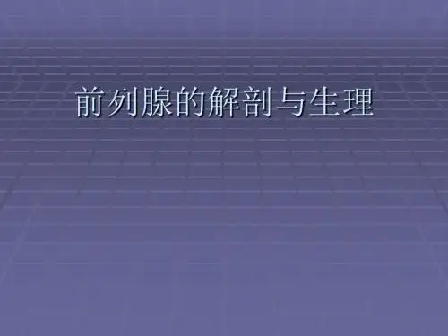 前列腺的解剖与生理