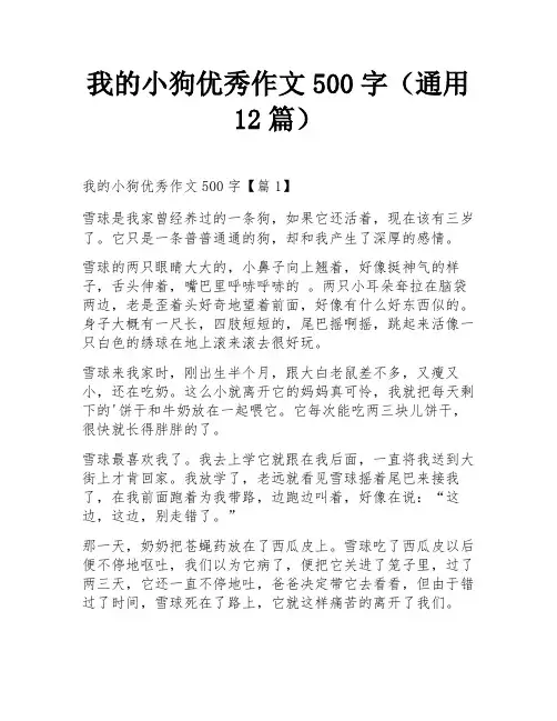 我的小狗优秀作文500字(通用12篇)