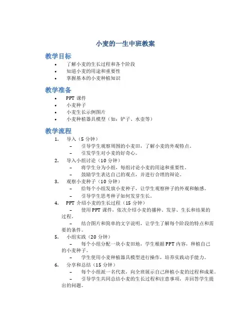 小麦的一生中班教案