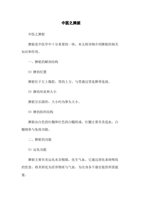 中医之脾脏