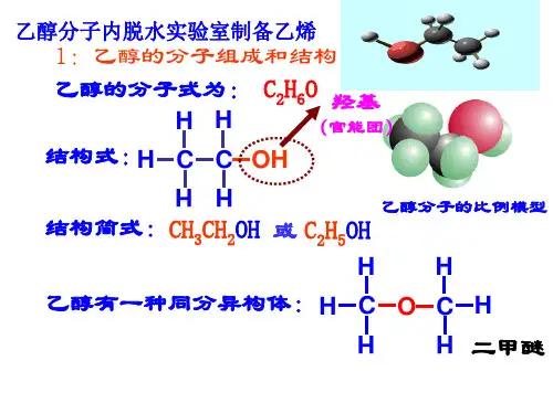 有机化学基础乙醇 (4)