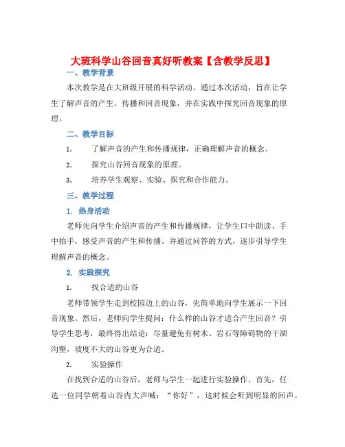 大班科学山谷回音真好听教案【含教学反思】