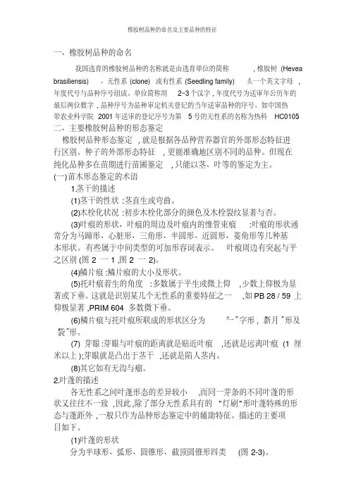 橡胶树品种的命名及主要品种的特征