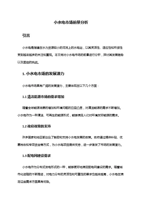 2024年小水电市场前景分析