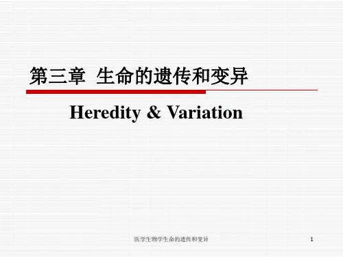 医学生物学生命的遗传和变异课件