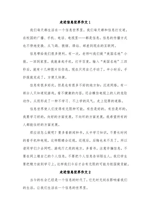 身处信息时代作文