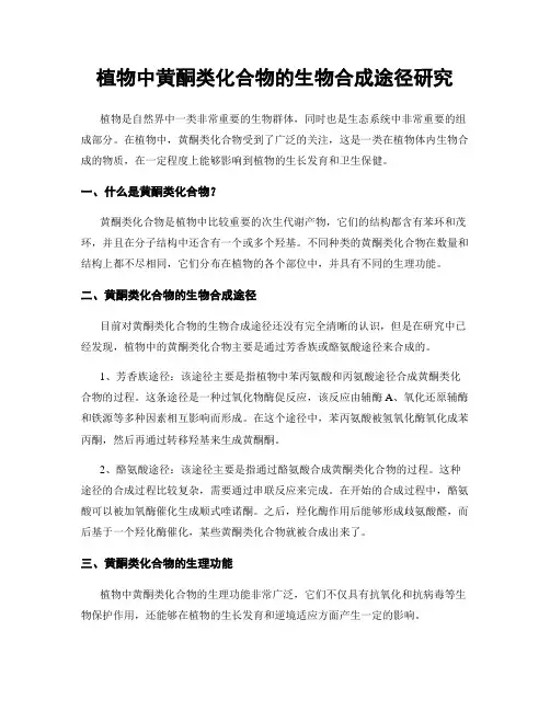 植物中黄酮类化合物的生物合成途径研究