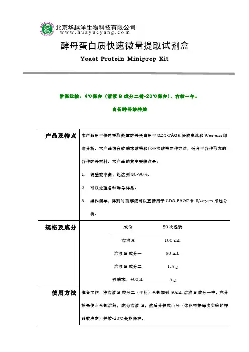 酵母蛋白快速提取试剂盒使用说明
