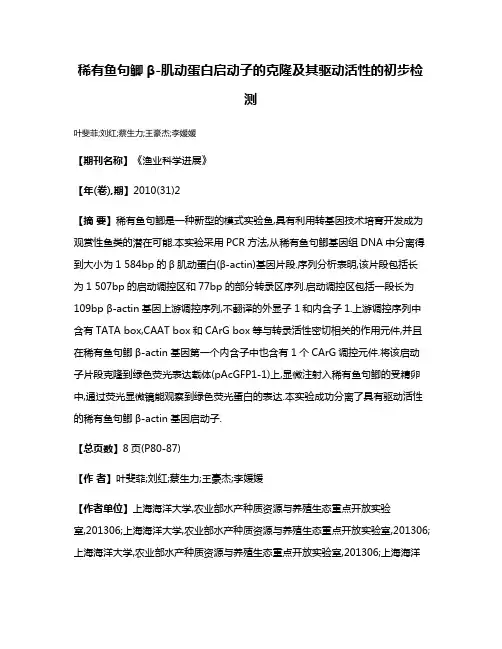 稀有鱼句鲫β-肌动蛋白启动子的克隆及其驱动活性的初步检测
