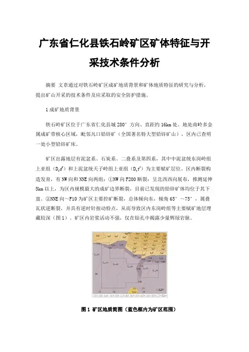 广东省仁化县铁石岭矿区矿体特征与开采技术条件分析