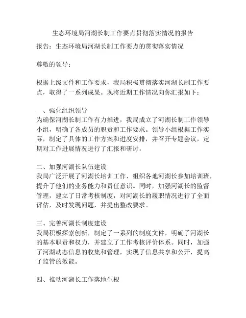 生态环境局河湖长制工作要点贯彻落实情况的报告