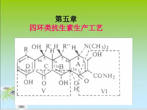 第五章 四环类抗生素生产