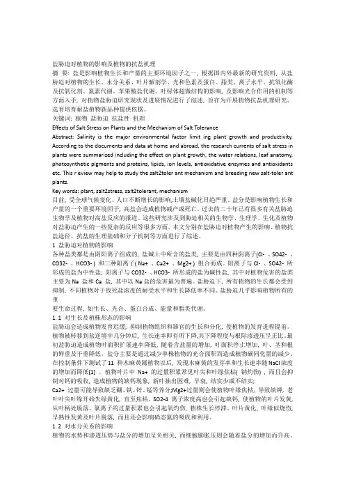 盐胁迫对植物的影响及植物的抗盐机理