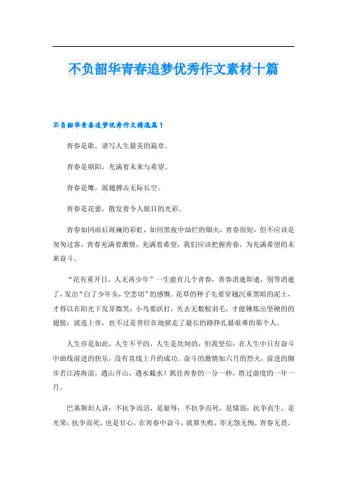 不负韶华青春追梦优秀作文素材十篇