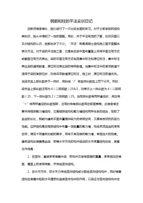 钢筋和柱的平法实训日记