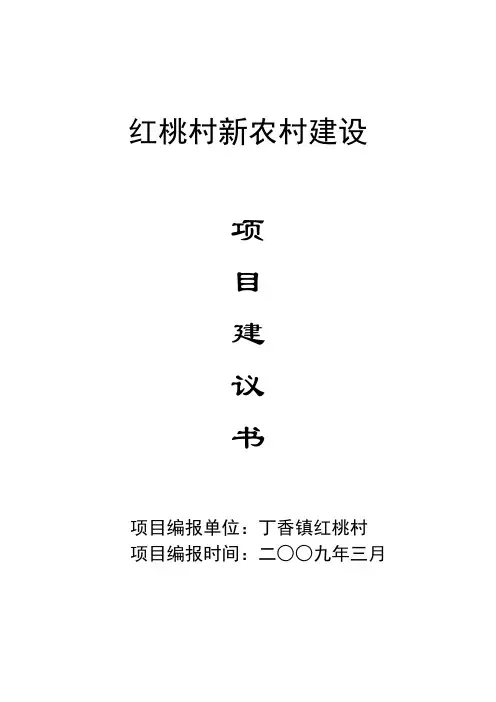 红桃村新农村建设项目书
