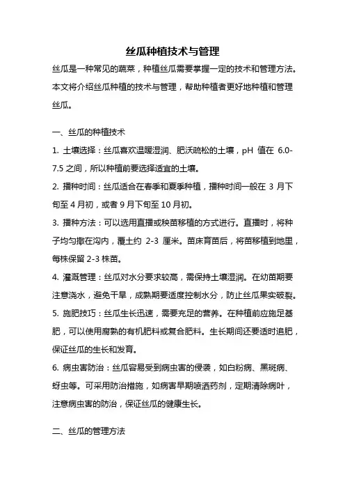 丝瓜种植技术与管理