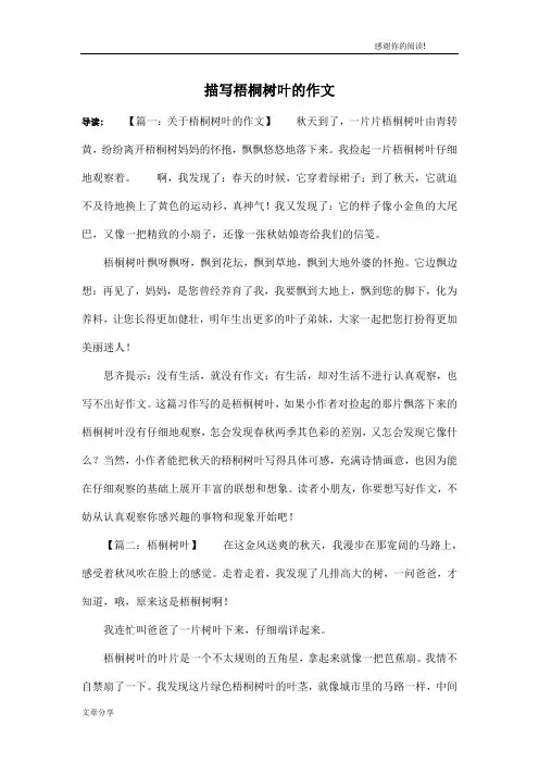 描写梧桐树叶的作文