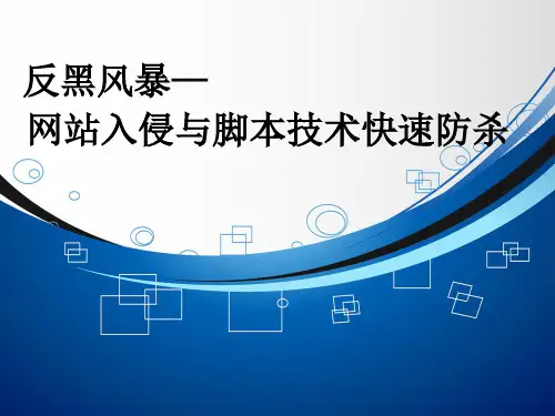 编程攻击与防御实例
