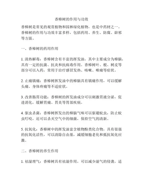 香樟树的作用与功效
