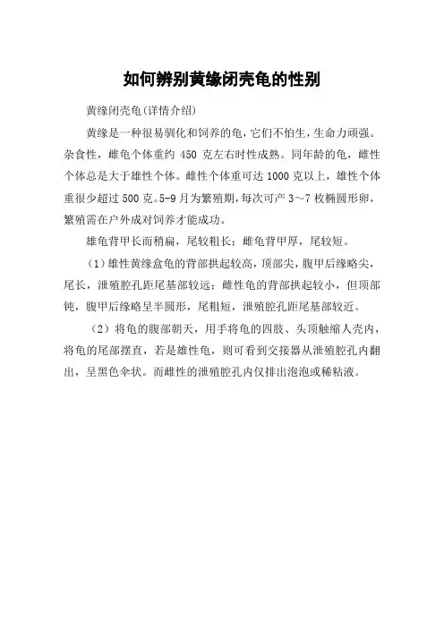 如何辨别黄缘闭壳龟的性别