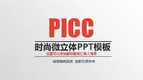 中国人民保险PPT