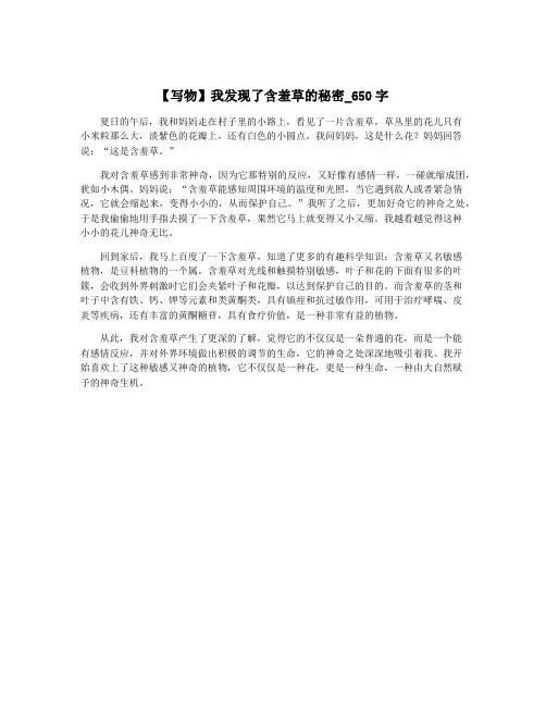 【写物】我发现了含羞草的秘密_650字