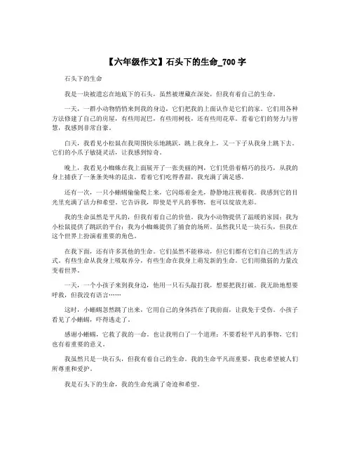 【六年级作文】石头下的生命_700字