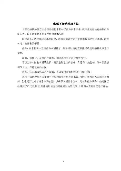 水稻不插秧种植方法